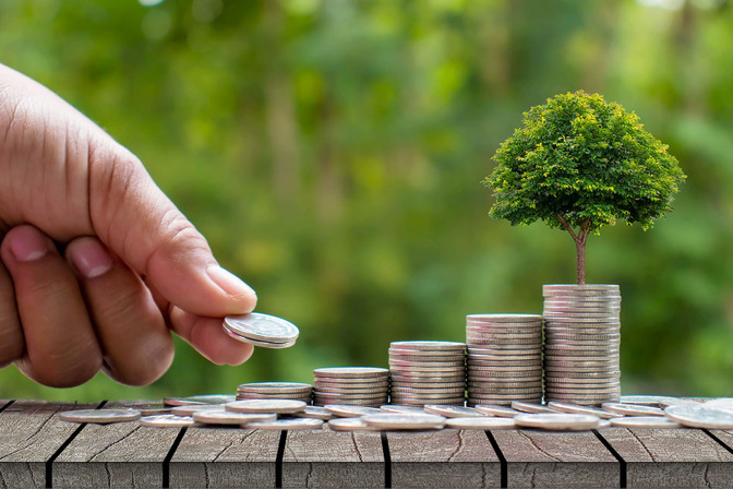 Growing savings represented by stacked coins and a tree